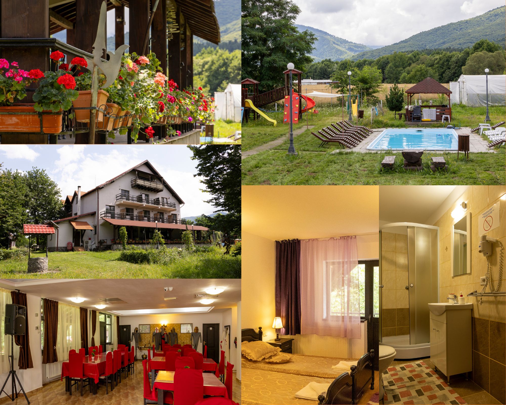 🌿Nature Speaks in Făgăraș🌿01 - 06 iulie 2024 - imagine 5